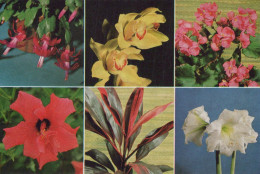 FIORI Vintage Cartolina CPSM #PBZ310.IT - Fleurs