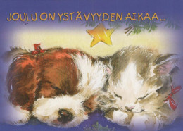 CANE Animale Vintage Cartolina CPSM #PBQ496.IT - Dogs