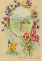 PASQUA POLLO UOVO Vintage Cartolina CPSM #PBP097.IT - Ostern