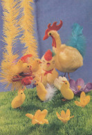 PASQUA POLLO UOVO Vintage Cartolina CPSM #PBO778.IT - Ostern