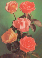 FLORES Vintage Tarjeta Postal CPSM #PAR359.ES - Blumen