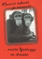 MONO Animales Vintage Tarjeta Postal CPSM #PAN996.ES - Singes