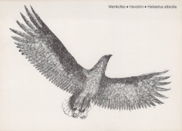 PÁJARO Animales Vintage Tarjeta Postal CPSM #PAN407.ES - Birds