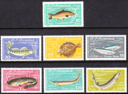 ROMANIA 1960 FISH** - Fishes