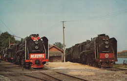 TREN TRANSPORTE Ferroviario Vintage Tarjeta Postal CPSMF #PAA530.ES - Eisenbahnen