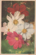 FLOWERS Vintage Ansichtskarte Postkarte CPA #PKE663.DE - Fleurs