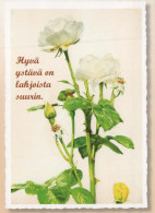 FLOWERS Vintage Ansichtskarte Postkarte CPSM #PBZ247.DE - Blumen