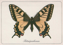 SCHMETTERLINGE Tier Vintage Ansichtskarte Postkarte CPSM #PBS455.DE - Papillons