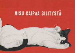 KATZE MIEZEKATZE Tier Vintage Ansichtskarte Postkarte CPSM #PBQ946.DE - Cats