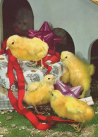 OSTERN HUHN EI Vintage Ansichtskarte Postkarte CPSM #PBO841.DE - Ostern