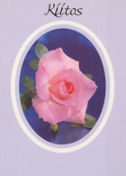 FLEURS Vintage Carte Postale CPSM #PAS261.FR - Flowers