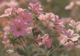 FLEURS Vintage Carte Postale CPSM #PAR660.FR - Bloemen