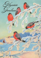 OISEAU Animaux Vintage Carte Postale CPSM #PAM789.FR - Birds