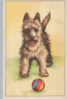 PERRO Animales Vintage Tarjeta Postal CPA #PKE788.ES - Chiens