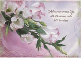 FLORES Vintage Tarjeta Postal CPSM #PBZ728.ES - Fleurs