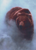 OSO Animales Vintage Tarjeta Postal CPSM #PBS268.ES - Bears