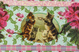 CAT KITTY Animals Vintage Postcard CPSM #PAM407.GB - Gatos