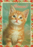 CAT KITTY Animals Vintage Postcard CPSM #PAM097.GB - Cats