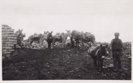 ÂNE Animaux Enfants Vintage Antique CPA Carte Postale #PAA136.FR - Donkeys