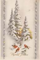 Bonne Année Noël OISEAU Vintage Carte Postale CPA #PKE851.FR - New Year