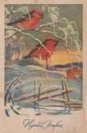 Bonne Année Noël Vintage Carte Postale CPSMPF #PKD278.FR - Neujahr