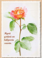 FLEURS Vintage Carte Postale CPSM #PBZ248.FR - Flowers