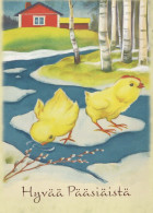 PÂQUES POULET ŒUF Vintage Carte Postale CPSM #PBO776.FR - Pâques