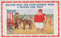 DONKEY Animals Vintage Antique Old CPA Postcard #PAA303.GB - Donkeys