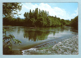 CP 84 - Isle Sur Sorgue - Partage Des Eaux - Oasis D'ombre Et De Fraîcheur - L'Isle Sur Sorgue