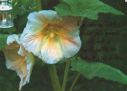 FLOWERS Vintage Postcard CPSM #PBZ005.GB - Fleurs