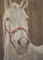 HORSE Animals Vintage Postcard CPSM #PBR938.GB - Paarden