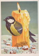 Happy New Year Christmas BIRD Vintage Postcard CPSM #PBM644.GB - Nouvel An