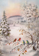 Happy New Year Christmas BIRD Vintage Postcard CPSM #PBM584.GB - Neujahr