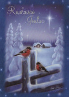 Happy New Year Christmas BIRD Vintage Postcard CPSM Unposted #PBA585.GB - Nouvel An