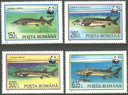 ROMANIA 1994 WWF, STURGEON** - Vissen