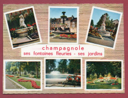 39 - CHAMPAGNOLE - Multivues - Champagnole