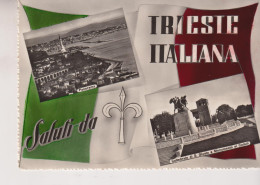 TRIESTE ITALIANA SALUTI VEDUTE  BANDIERA  VG 1955 - Trieste (Triest)