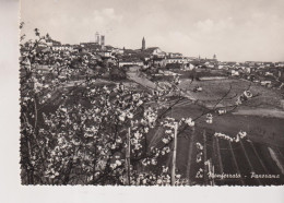 LU MONFERRATO ALESSANDRIA  PANORAMA  VG  1954 - Alessandria