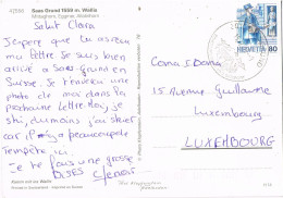 55201. Postal SAAS GRUND (Valais) Suisse 1993. Ski. Vista De Mittaghorn, Egginer - Cartas & Documentos