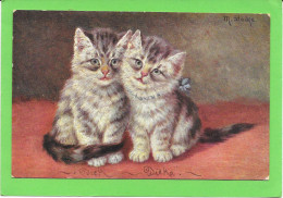 CHATS - Deux Chatons Mignons - Gatos