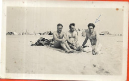 Petite Photo Du Camp De BARCARES Le Jour De L' Armistice - Oorlog, Militair