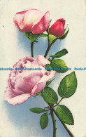 R634834 Rose. H. B. Photochromie - Monde