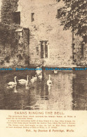 R634839 Swans Ringing The Bell. Dawkes And Partridge - Monde