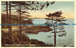 R633990 Guernsey. Marble Bay From Jerbourg Pine Forest. Valentine. Carbo Colour. - Wereld