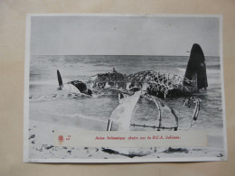 PHOTO D'un Correspondant De Guerre (18 X 24 Cm) : Scène Animée - Avion Britannique Abattu Par La D.C.A Italienn - Guerre, Militaire