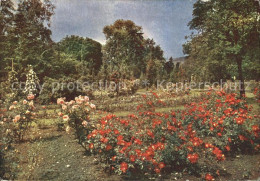 72118956 Sangerhausen Suedharz Rosarium Parkansicht Sangerhausen - Sangerhausen