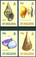 SAINT HELENA 1981 SEASHELLS** - Coquillages