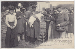 Yonne - Avallon - Scène Du Pays Un Jour De Foire - Avallon