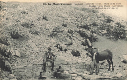 CPA Le Mont Ventoux-Halte à La Grave-18    L2945 - Sonstige & Ohne Zuordnung