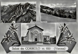 SALUTI  DA  CORBIOLO - TRE  VEDUTINE -1960 - Verona